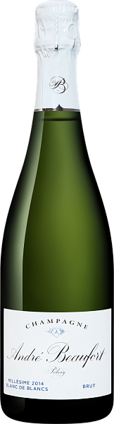 Andre Beaufort Polisy Blanc de Blancs Millesime Champagne AOC, 0.75 л в Нижнем Новгороде