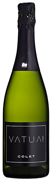 Vatua Extra Brut Classic Penedes DO Colet, 0.75 л в Нижнем Новгороде